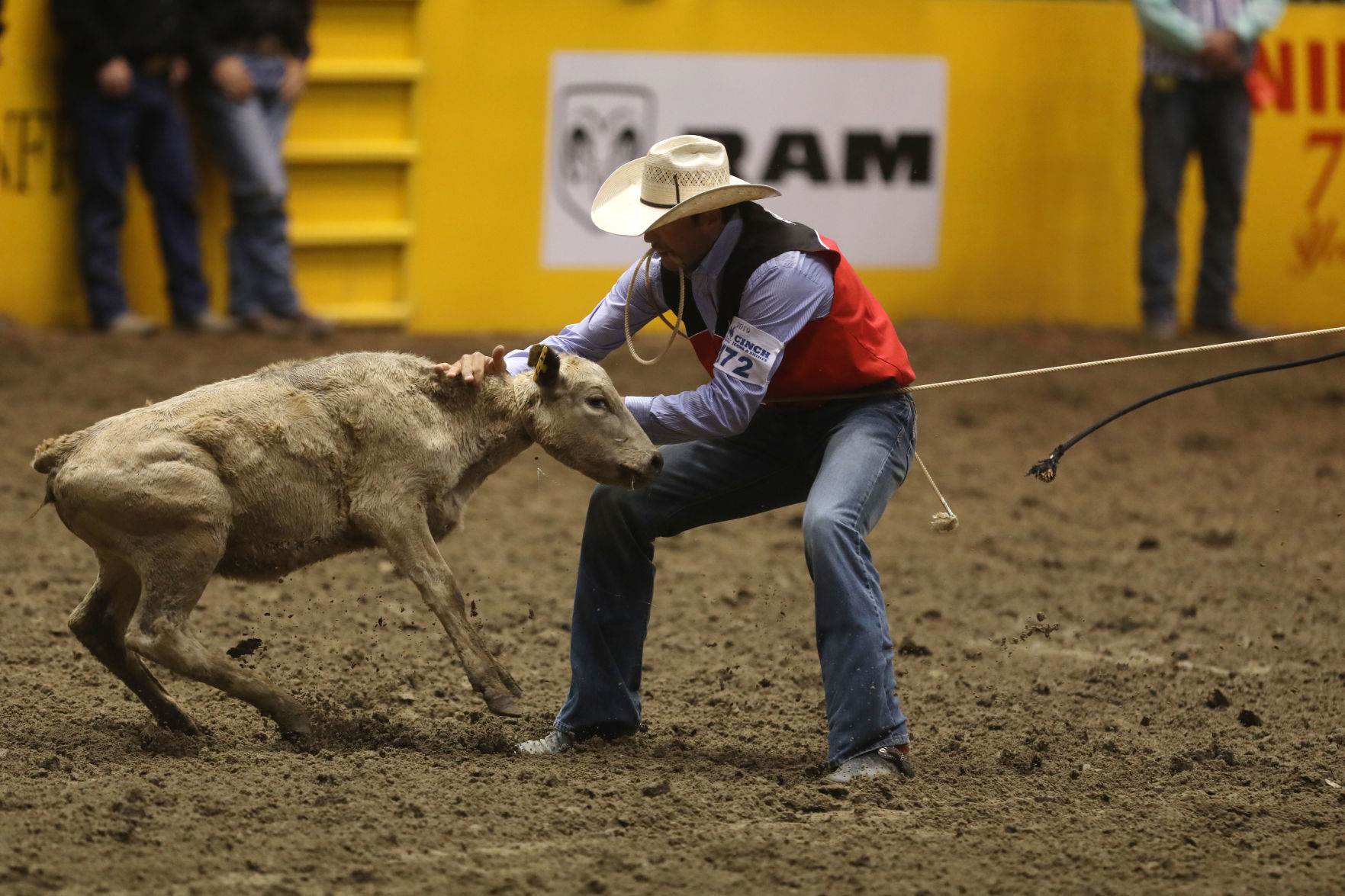 CNFR: Friday